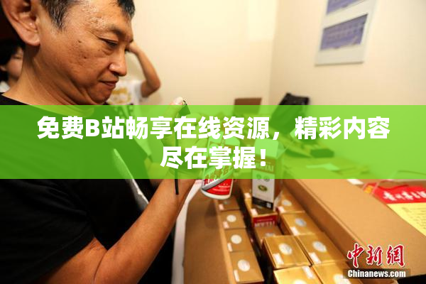 免费B站畅享在线资源，精彩内容尽在掌握！