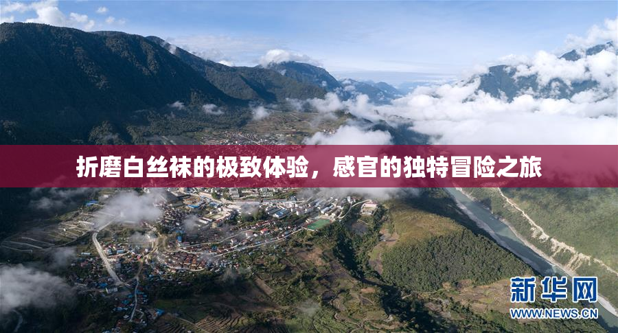 折磨白丝袜的极致体验，感官的独特冒险之旅
