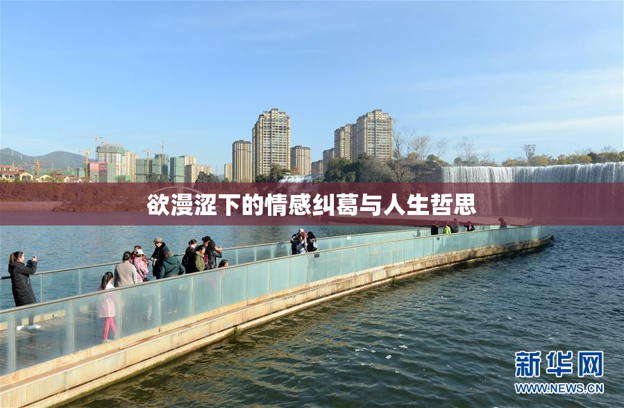 欲漫涩下的情感纠葛与人生哲思