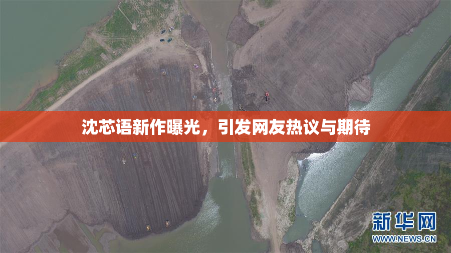 沈芯语新作曝光，引发网友热议与期待
