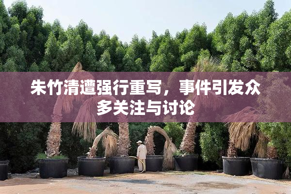 朱竹清遭强行重写，事件引发众多关注与讨论