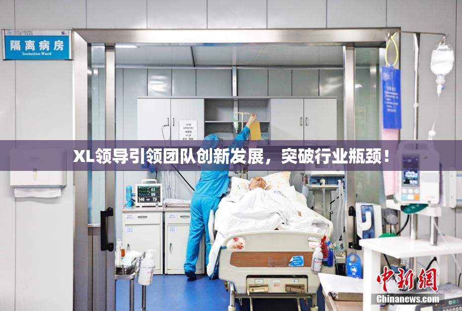 XL领导引领团队创新发展，突破行业瓶颈！