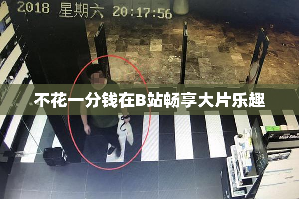 不花一分钱在B站畅享大片乐趣