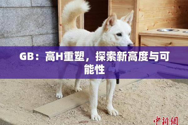 GB：高H重塑，探索新高度与可能性