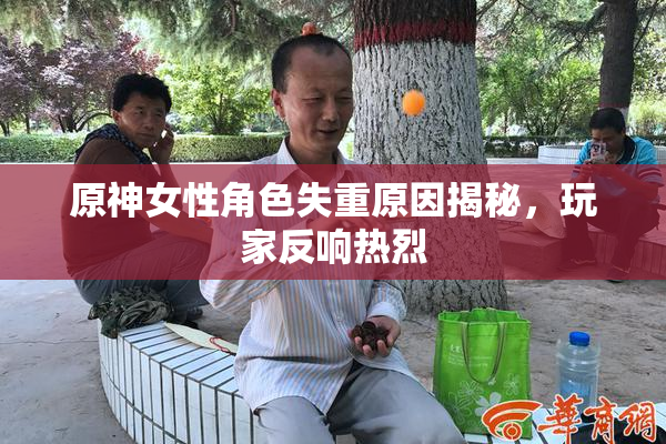 原神女性角色失重原因揭秘，玩家反响热烈