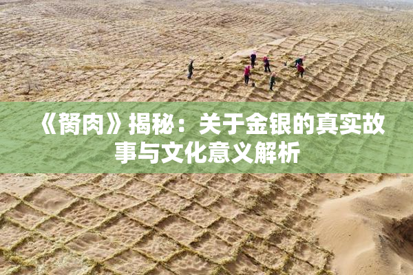 《胬肉》揭秘：关于金银的真实故事与文化意义解析