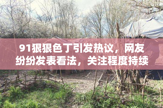91狠狠色丁引发热议，网友纷纷发表看法，关注程度持续上升
