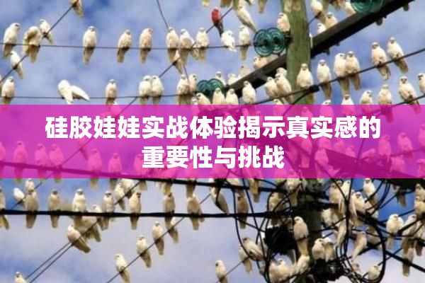 硅胶娃娃实战体验揭示真实感的重要性与挑战