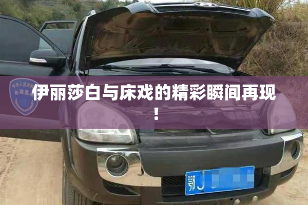 伊丽莎白与床戏的精彩瞬间再现！