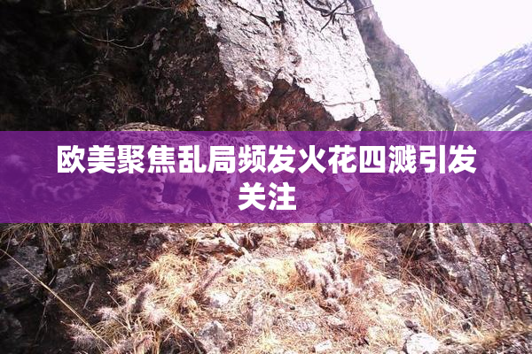 欧美聚焦乱局频发火花四溅引发关注