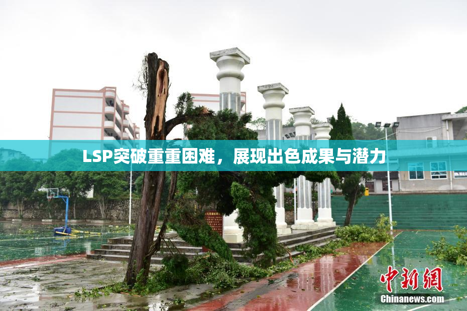 LSP突破重重困难，展现出色成果与潜力