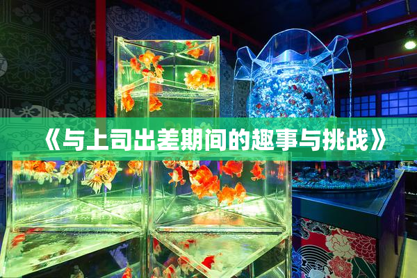 《与上司出差期间的趣事与挑战》