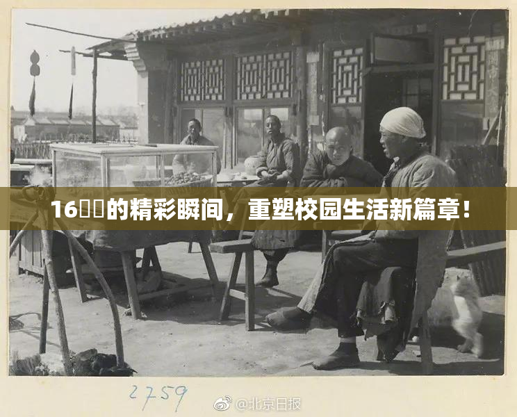 16妺妺的精彩瞬间，重塑校园生活新篇章！