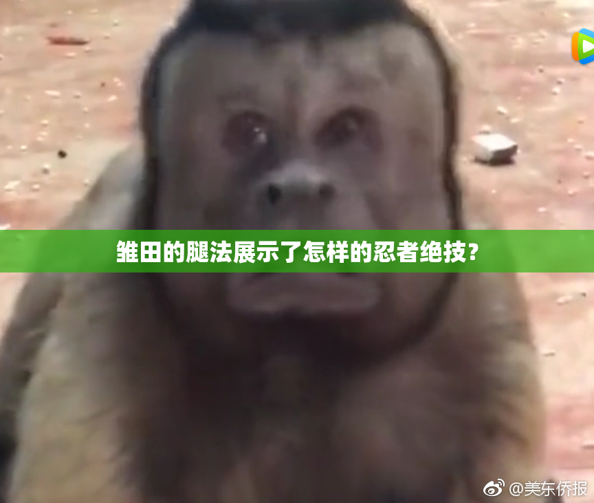 雏田的腿法展示了怎样的忍者绝技？
