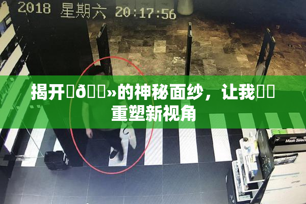 揭开‌🐻的神秘面纱，让我❌‌重塑新视角