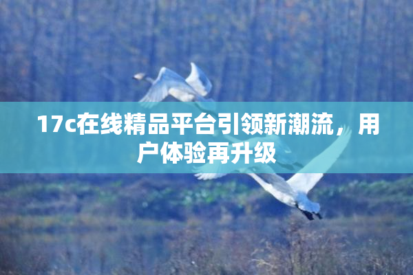 17c在线精品平台引领新潮流，用户体验再升级