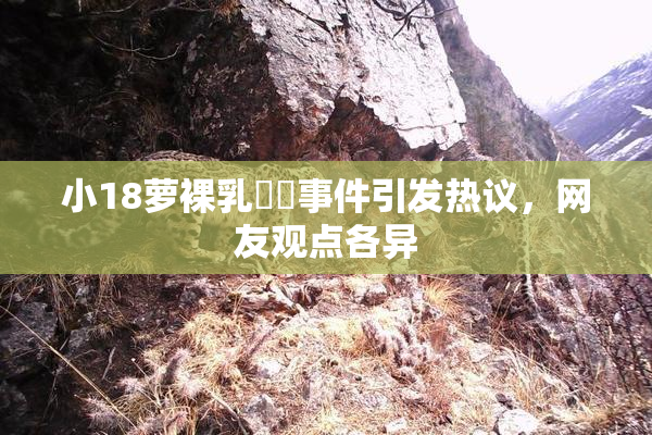 小18萝裸乳❌‌事件引发热议，网友观点各异