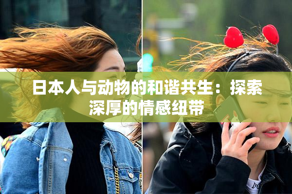 日本人与动物的和谐共生：探索深厚的情感纽带