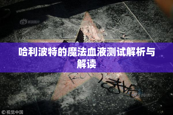 哈利波特的魔法血液测试解析与解读
