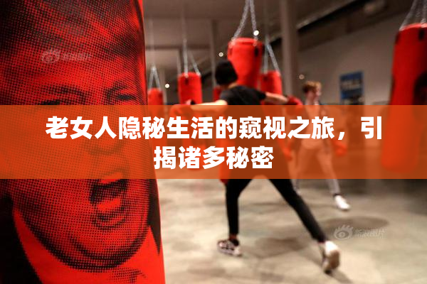 老女人隐秘生活的窥视之旅，引揭诸多秘密