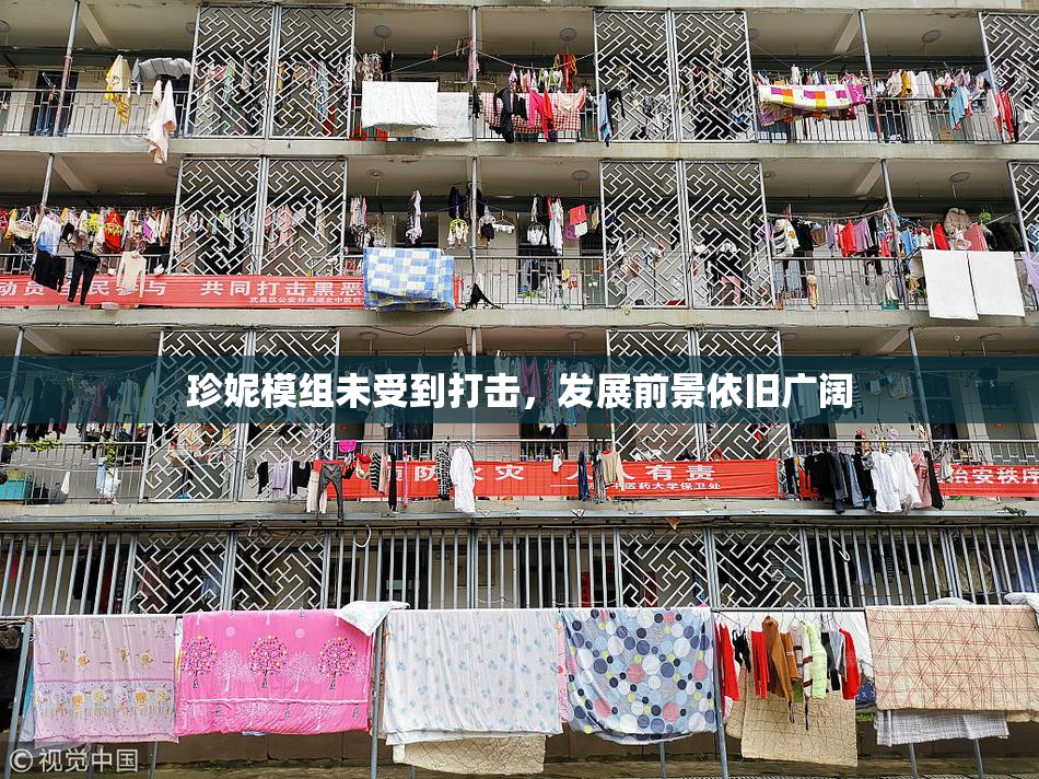 珍妮模组未受到打击，发展前景依旧广阔
