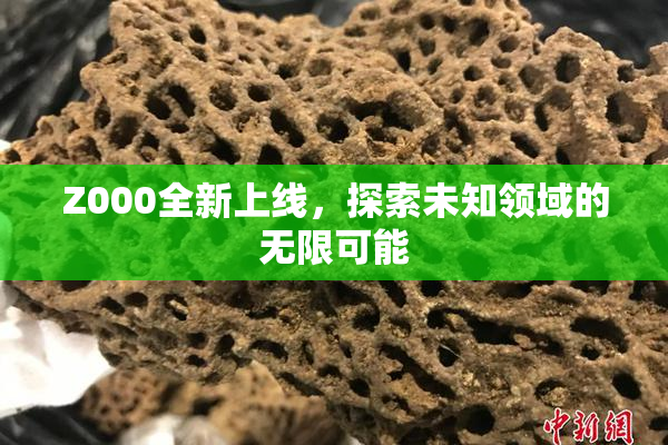 Z000全新上线，探索未知领域的无限可能