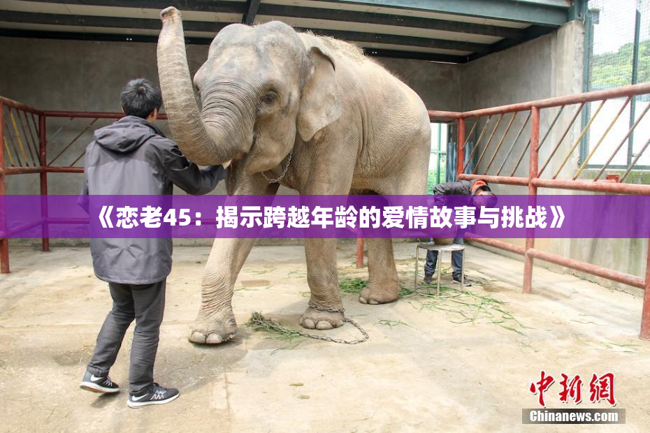 《恋老45：揭示跨越年龄的爱情故事与挑战》