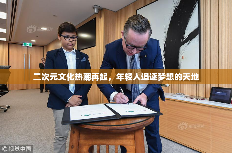 二次元文化热潮再起，年轻人追逐梦想的天地