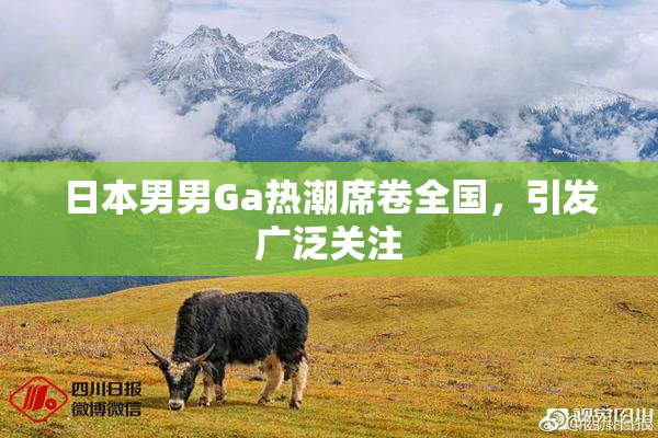 日本男男Ga热潮席卷全国，引发广泛关注