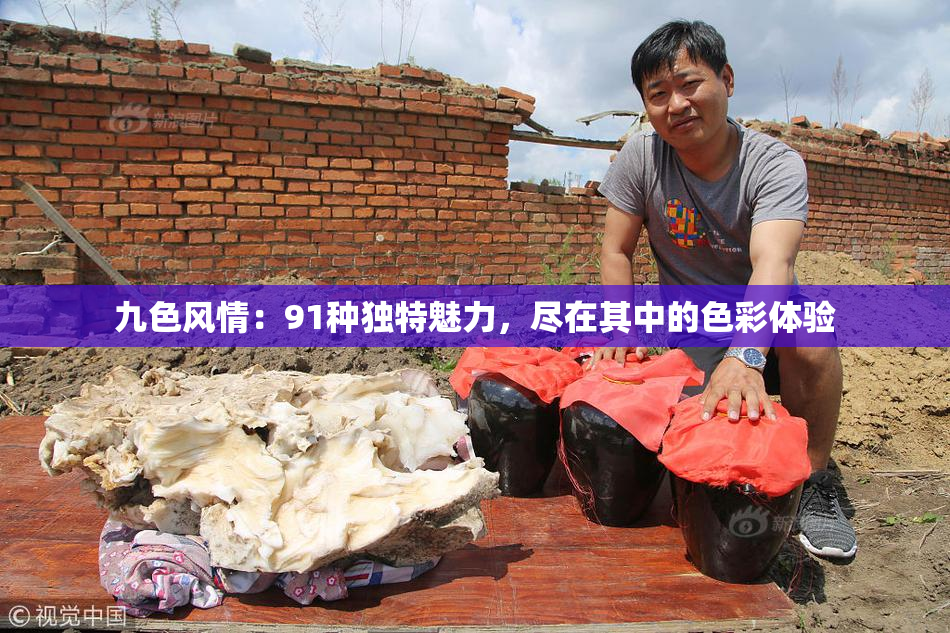 九色风情：91种独特魅力，尽在其中的色彩体验