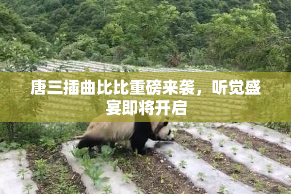 唐三插曲比比重磅来袭，听觉盛宴即将开启
