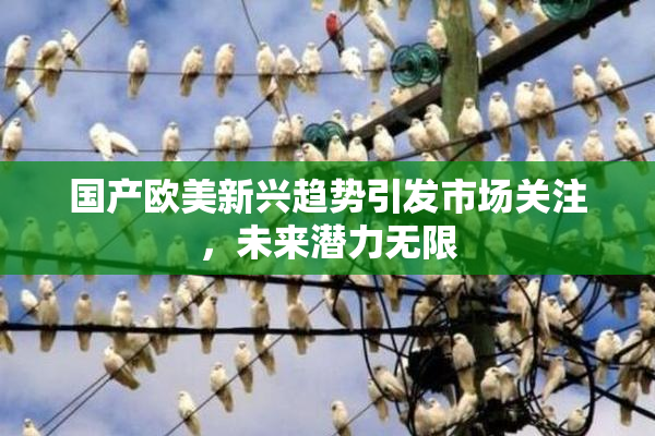 国产欧美新兴趋势引发市场关注，未来潜力无限