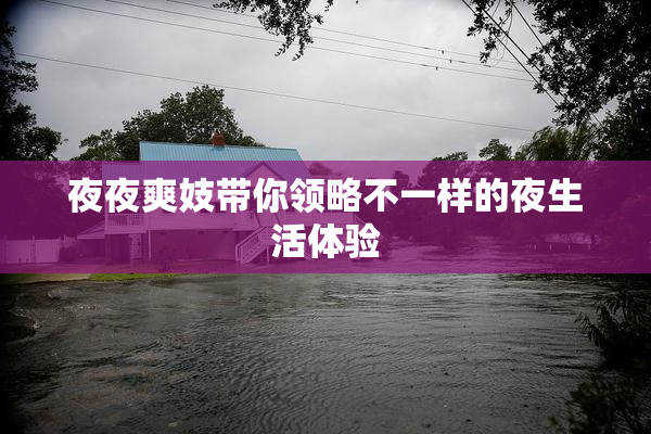 夜夜爽妓带你领略不一样的夜生活体验