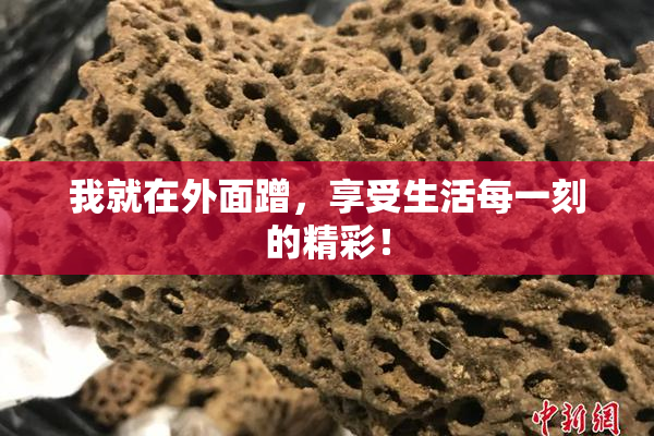 我就在外面蹭，享受生活每一刻的精彩！