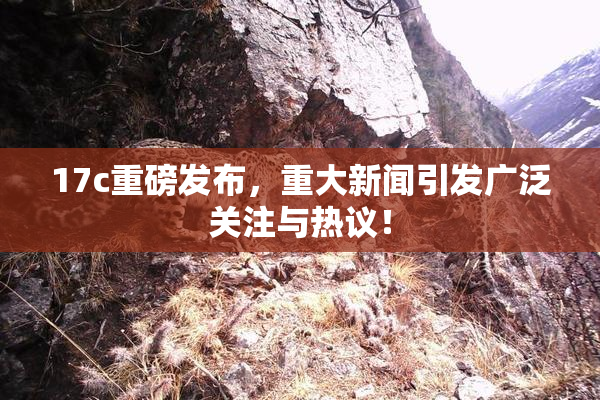 17c重磅发布，重大新闻引发广泛关注与热议！