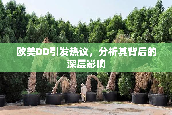 欧美DD引发热议，分析其背后的深层影响