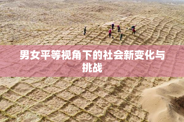 男女平等视角下的社会新变化与挑战