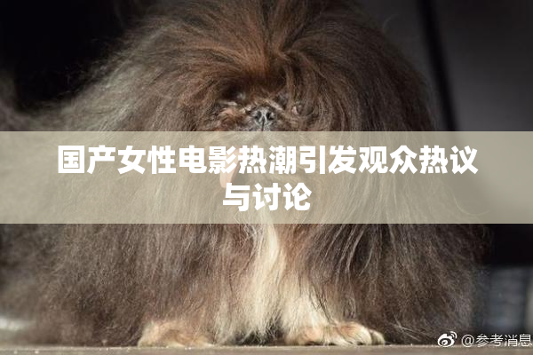 国产女性电影热潮引发观众热议与讨论