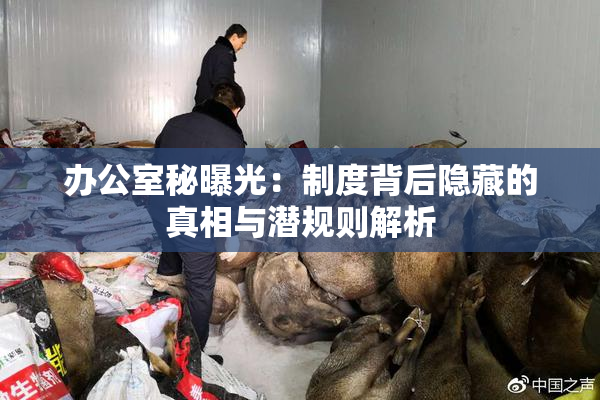 办公室秘曝光：制度背后隐藏的真相与潜规则解析