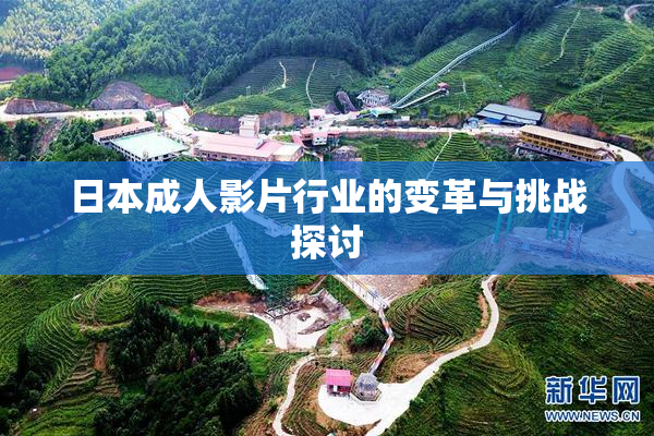 日本成人影片行业的变革与挑战探讨