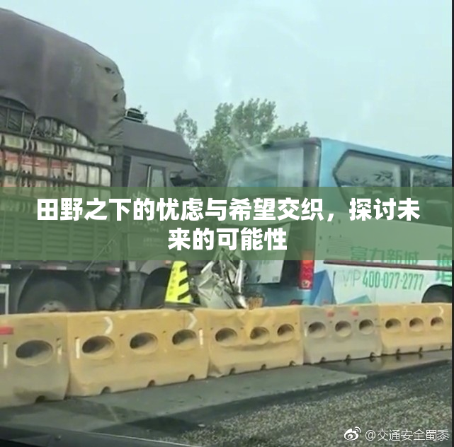 田野之下的忧虑与希望交织，探讨未来的可能性