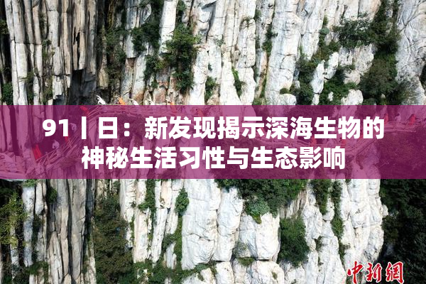 91丨日：新发现揭示深海生物的神秘生活习性与生态影响