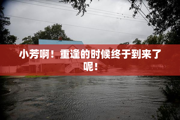 小芳啊！重逢的时候终于到来了呢！