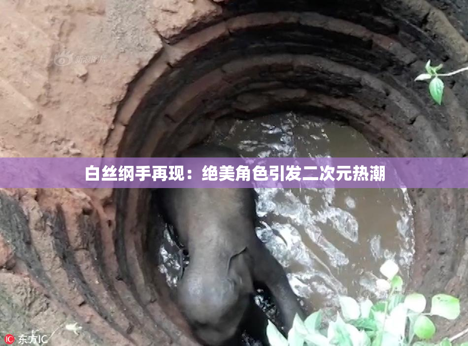 白丝纲手再现：绝美角色引发二次元热潮