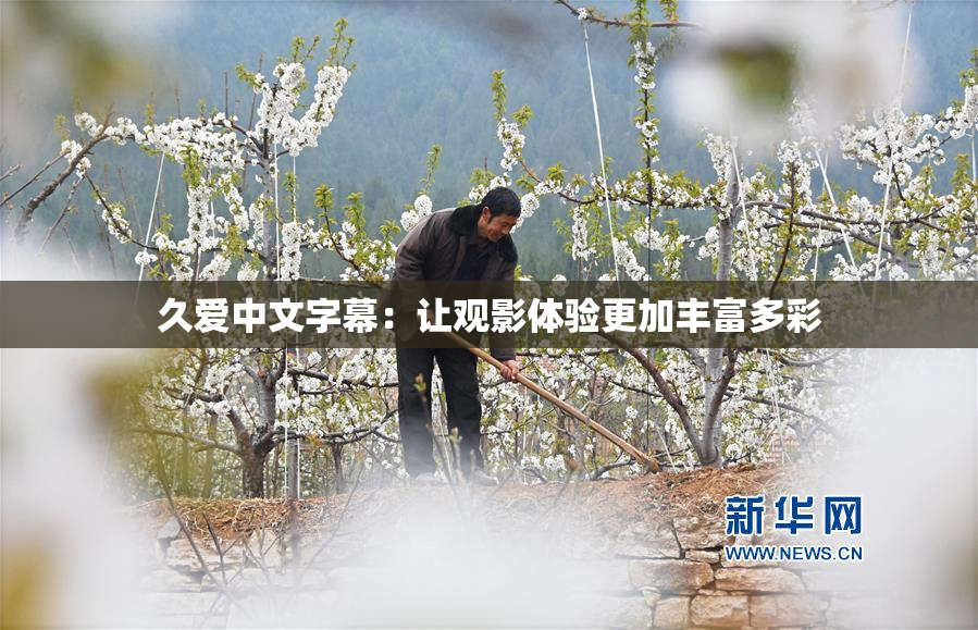 久爱中文字幕：让观影体验更加丰富多彩