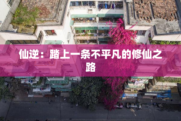 仙逆：踏上一条不平凡的修仙之路