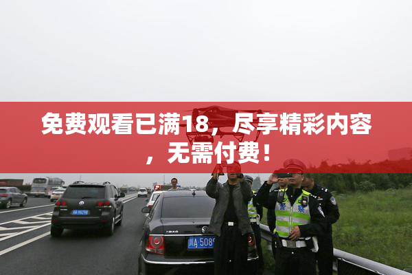 免费观看已满18，尽享精彩内容，无需付费！