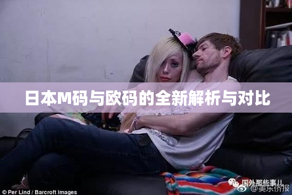 日本M码与欧码的全新解析与对比