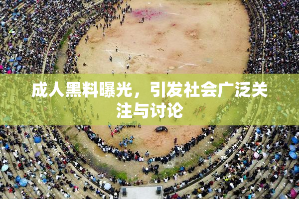 成人黑料曝光，引发社会广泛关注与讨论