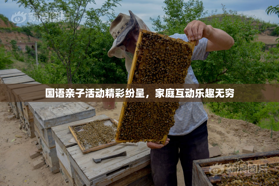 国语亲子活动精彩纷呈，家庭互动乐趣无穷